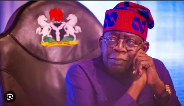 President Tinubu appoints New Governing Council For UNIABUJA,UNN,and NAU.